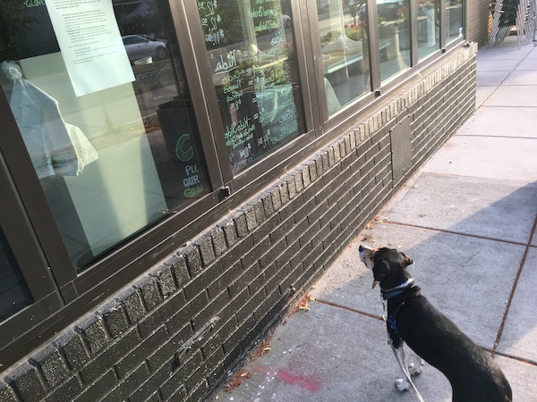 Ziggy stands outside a closed restaurant